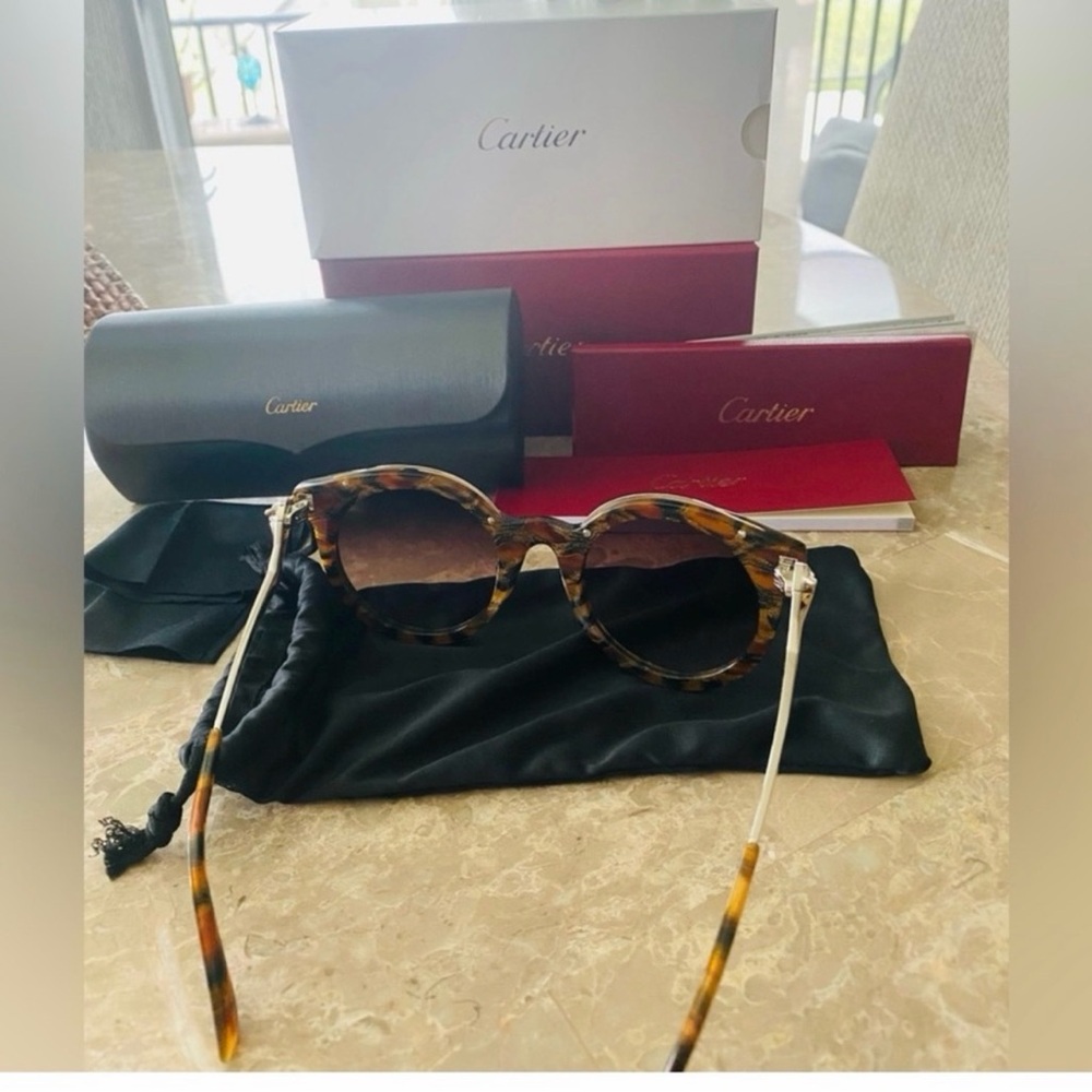 Cartier Tortoise Shell Sunglasses - image 6